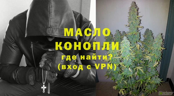 сатива Сатка