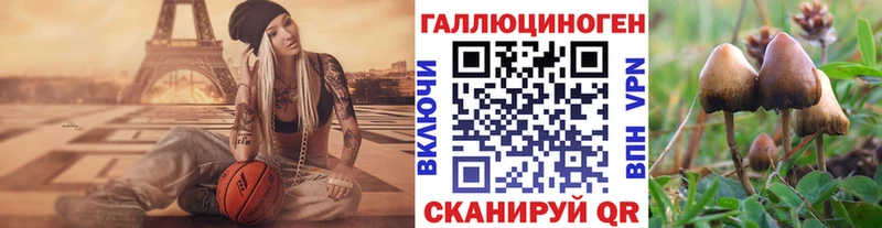 Галлюциногенные грибы мицелий  закладки  Змеиногорск 